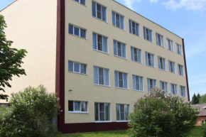 Verkhniy Miz, Moschaisk, Moschaisk